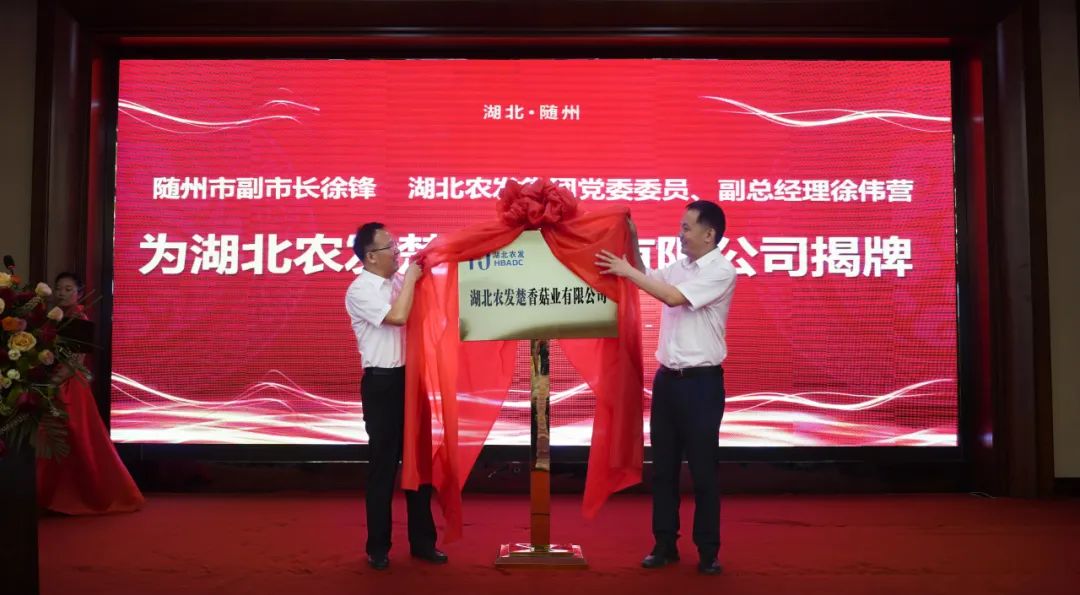 hahabet星辰大海官方网站-妄想从这里起头