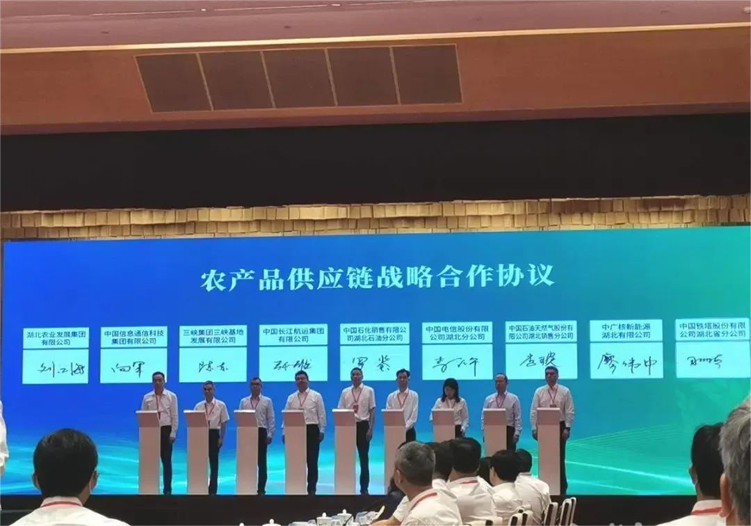 hahabet星辰大海官方网站-妄想从这里起头